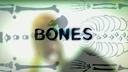 Bones TV Show
